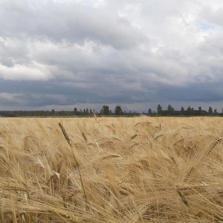 B&B De Hemelse Polder Sint-Laureins Dış mekan fotoğraf