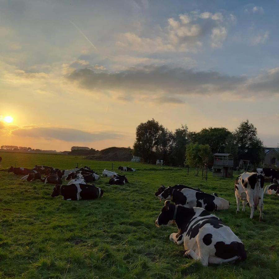 B&B De Hemelse Polder Sint-Laureins Dış mekan fotoğraf