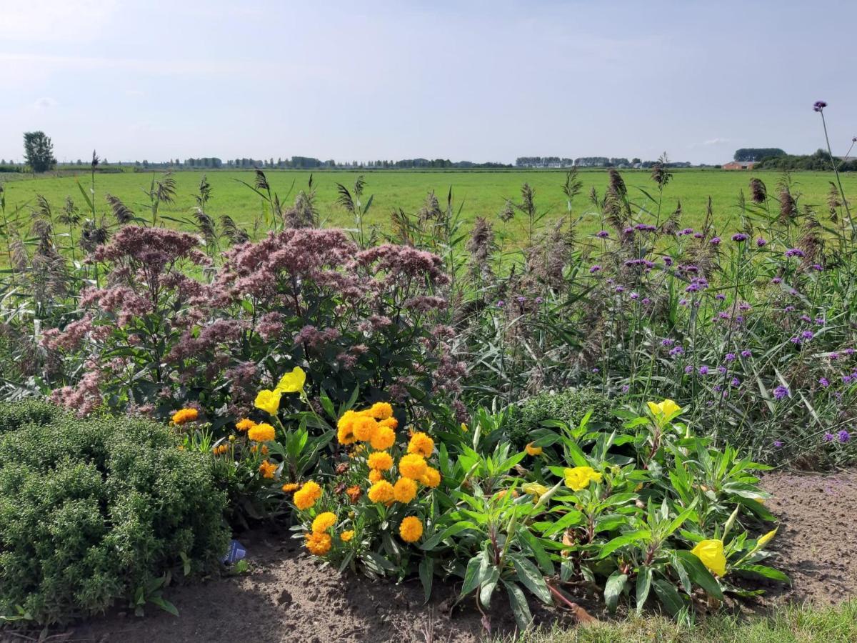 B&B De Hemelse Polder Sint-Laureins Dış mekan fotoğraf