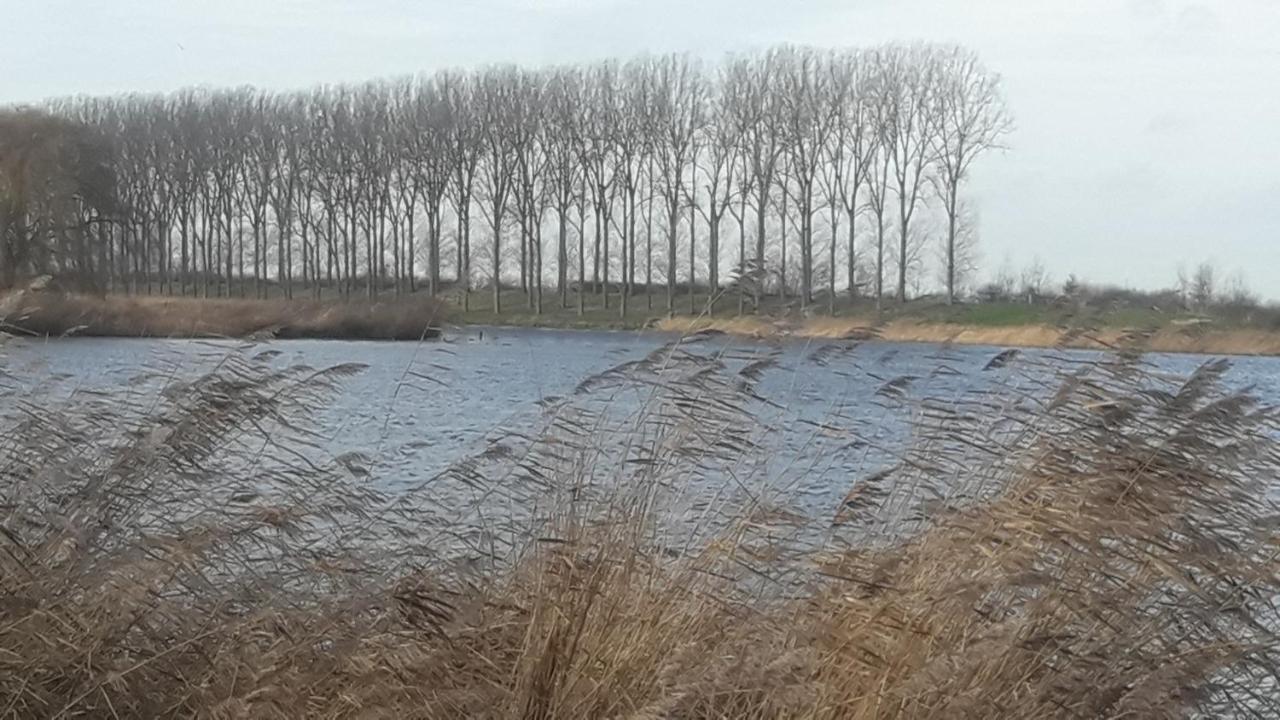 B&B De Hemelse Polder Sint-Laureins Dış mekan fotoğraf